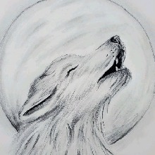 DjWolfxX