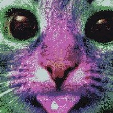 Guest_Carl221628