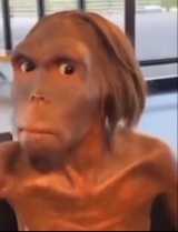 Sukkiioo