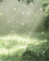 JustWoodlands