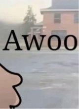 avatarbild