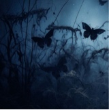 Guest_Jessie131747