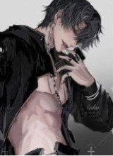 immagine avatar